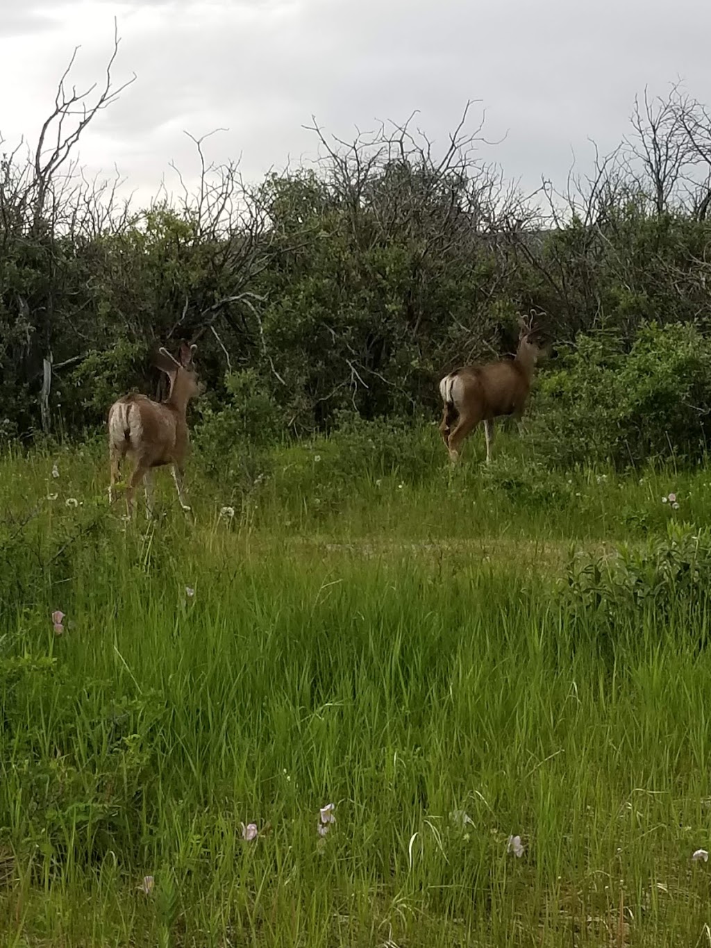 Chain Lakes Provincial Park | 2308 AB-22, Nanton, AB T0L 1R0, Canada | Phone: (403) 627-1165