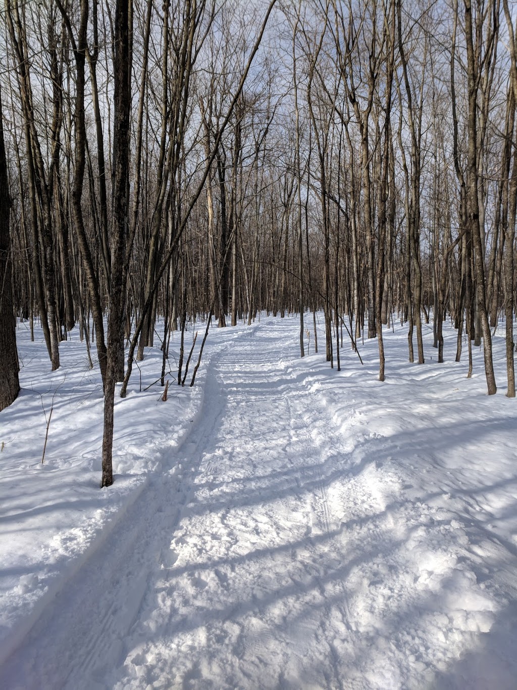 Équerre Woods | 49 Rang de lÉquerre, Laval, QC H7L 6A3, Canada | Phone: (450) 624-9696