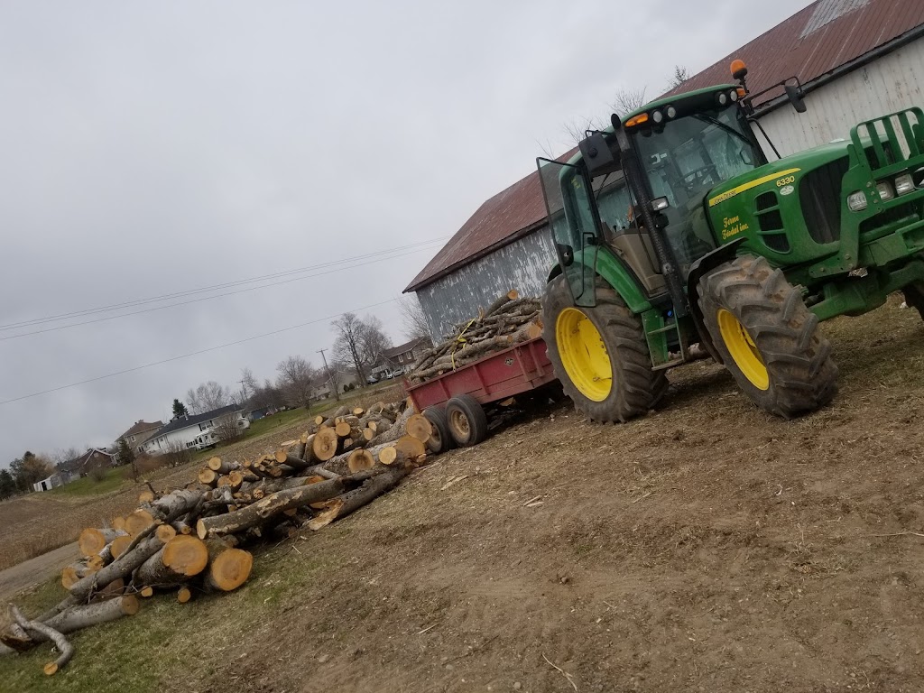 Ferme Féodal | 125 Rang des Fiefs, Saint-Raphaël, QC G0R 4C0, Canada | Phone: (418) 243-2012