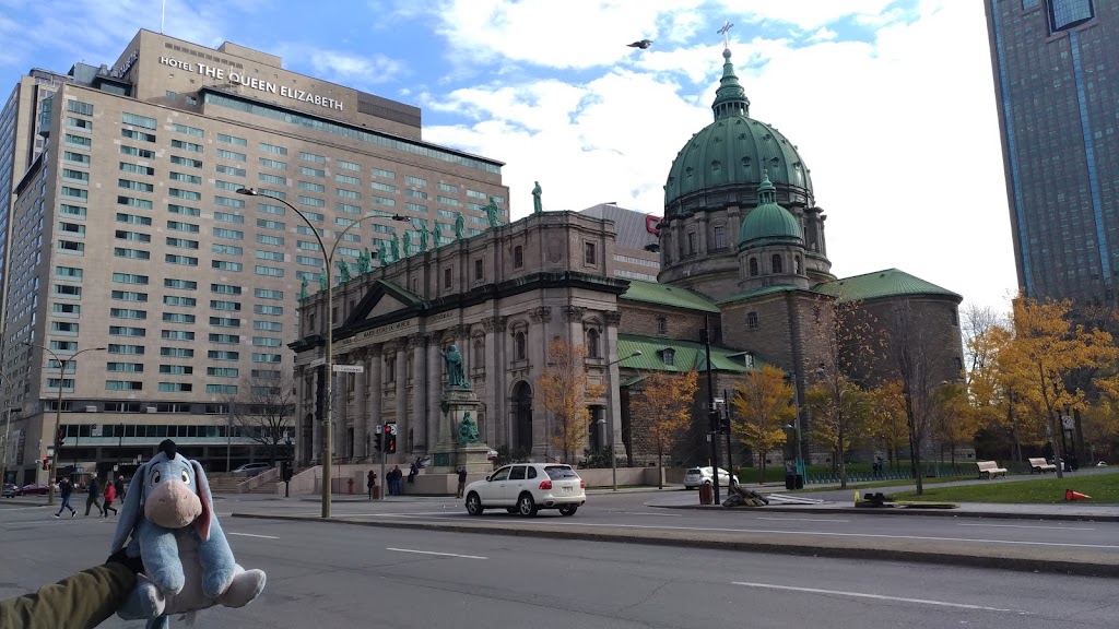 Légion de Marie | Cathédrale Marie-Reine-du-Monde, 1071 Rue de la Cathédrale, Montréal, QC H3B 2V4, Canada | Phone: (514) 864-5643