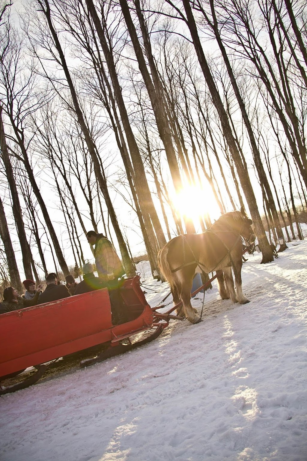 Cabane A Sucre La ptite cabane dla côte | 5885 Route Arthur Sauvé, Mirabel, QC J7N 2W4, Canada | Phone: (514) 990-2708