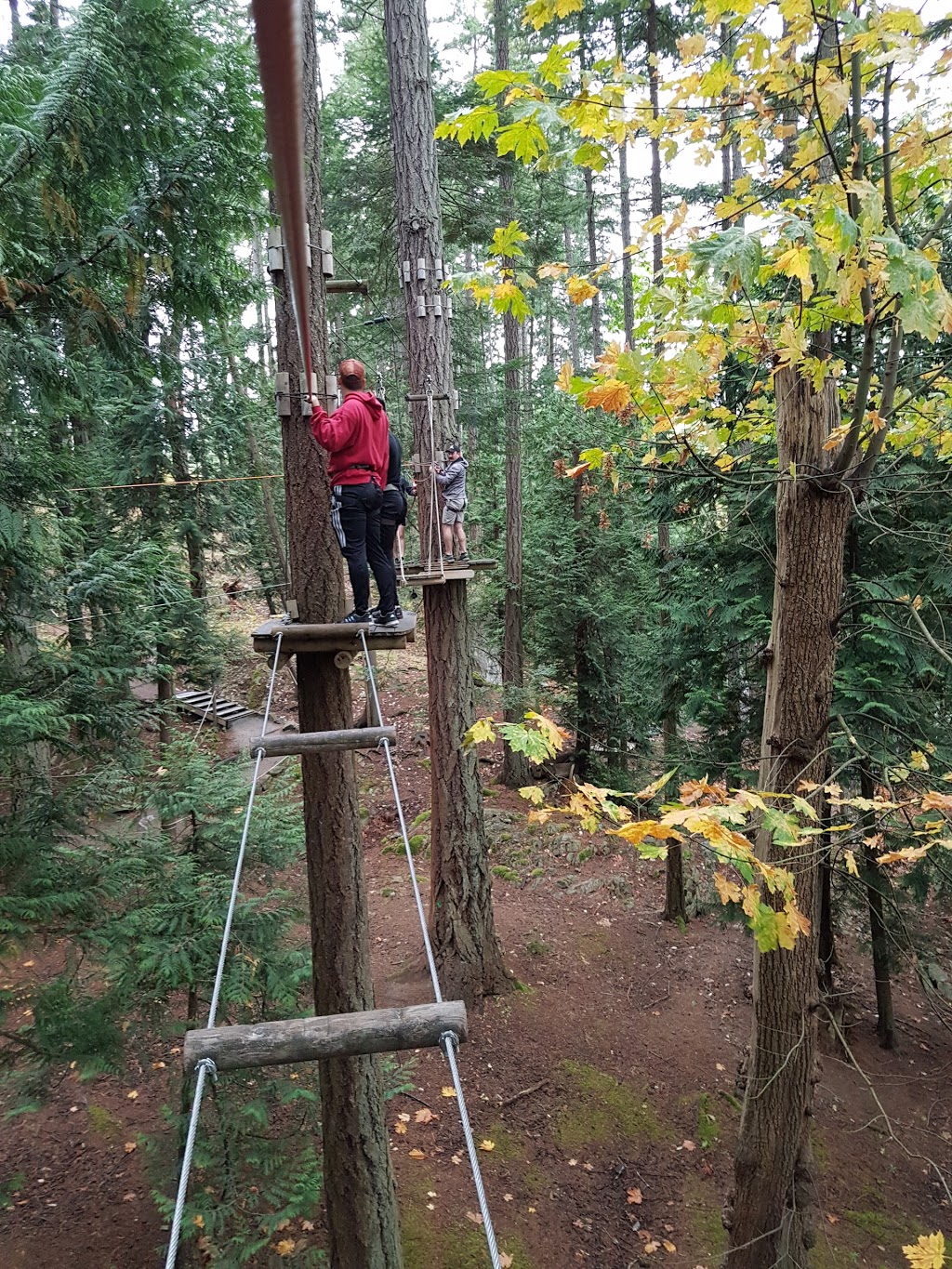 WildPlay Element Parks Victoria | 15, 1767 Island Hwy, Victoria, BC V9B 1J1, Canada | Phone: (855) 595-2251