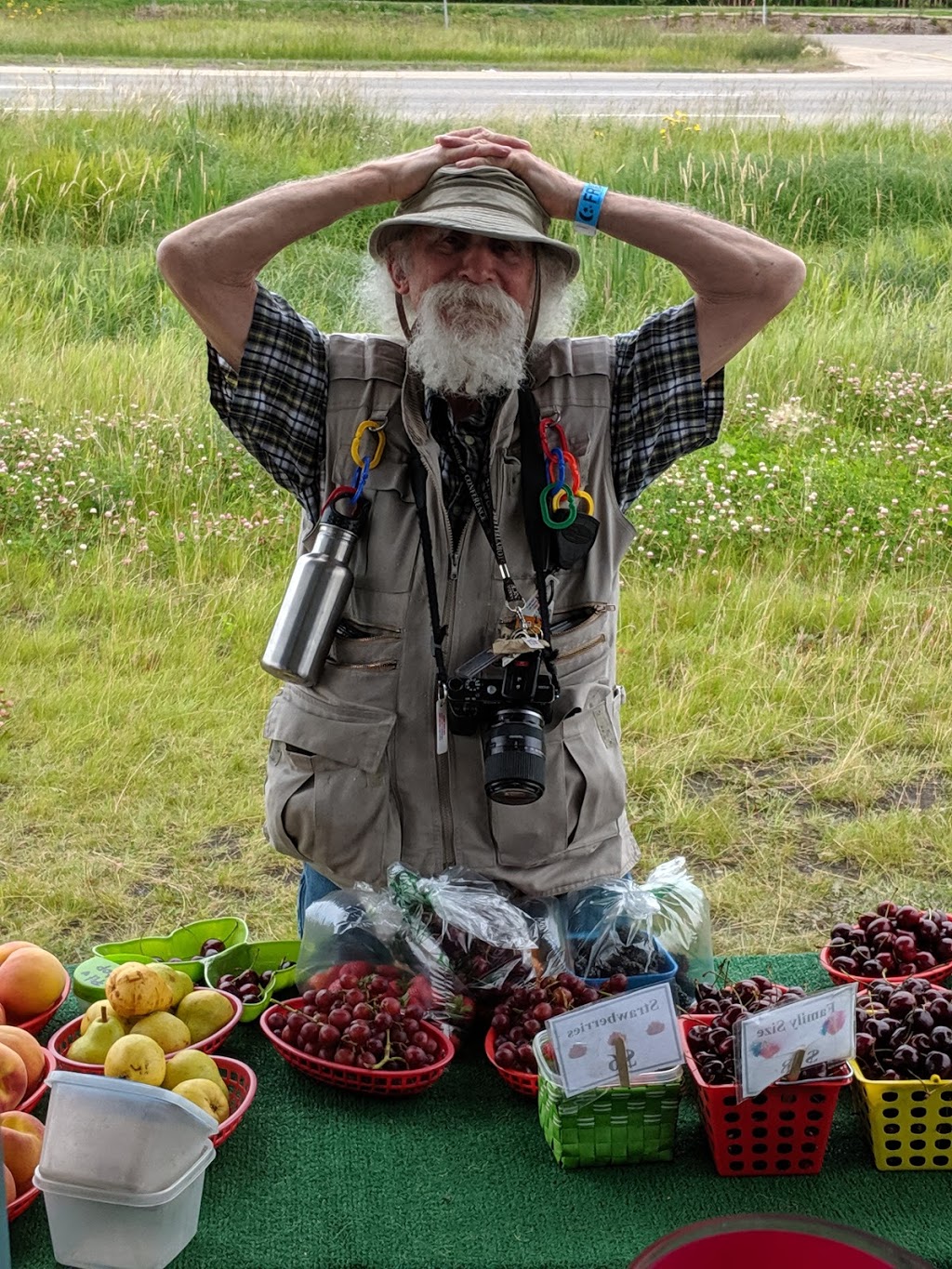 Gypsy Gardens Fruit Stand | 4282 91a St NW, Edmonton, AB T6E 5V2, Canada | Phone: (780) 905-7733