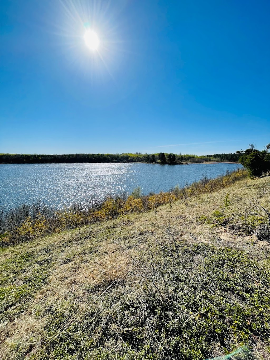 Bellis Lake Campsite | Smoky Lake County, AB T0A 0J0, Canada | Phone: (587) 335-5510