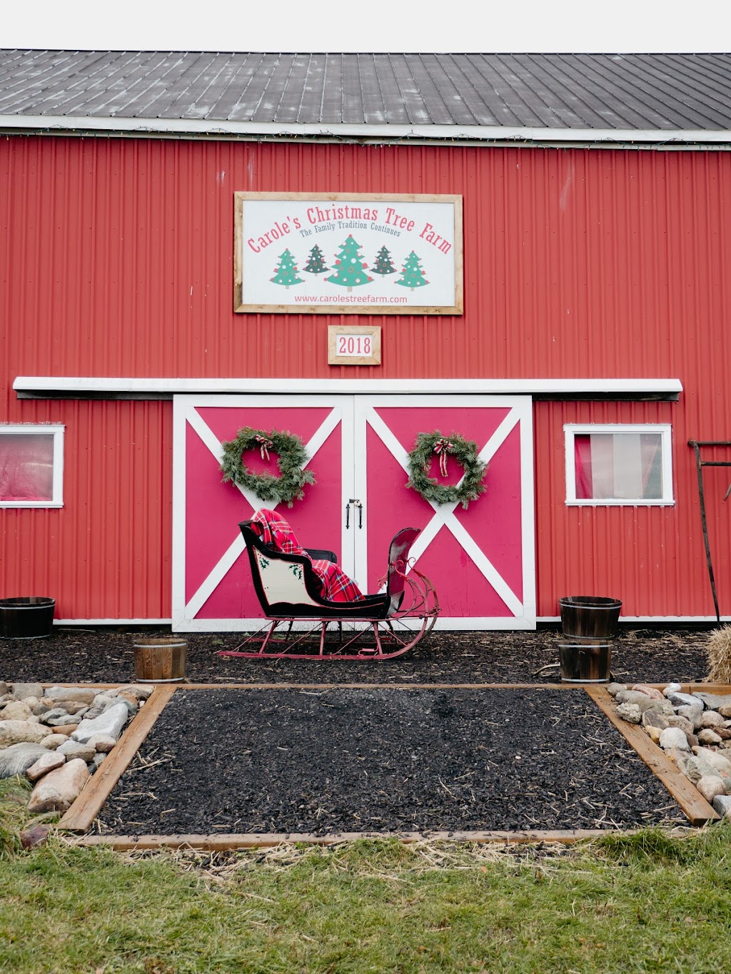 Caroles Christmas Tree Farm | 7685 2, Napanee, ON K7R 3K6, Canada | Phone: (613) 532-9627