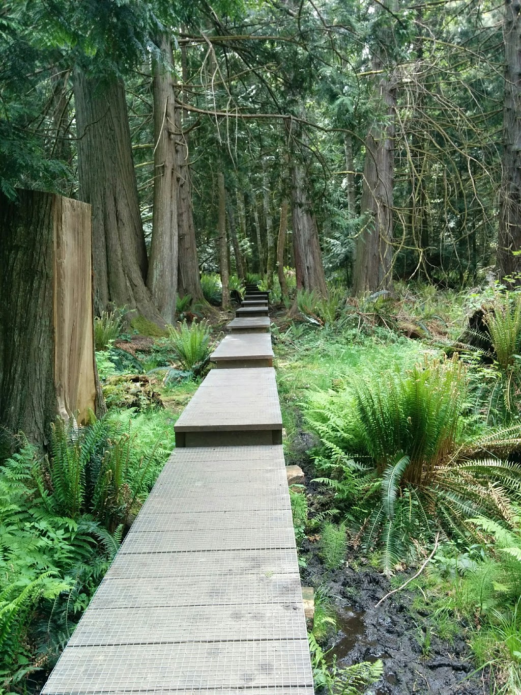 Mount Parke Regional Park - Main Parking Lot | Montrose Rd, Mayne Island, BC V0N 2J2, Canada