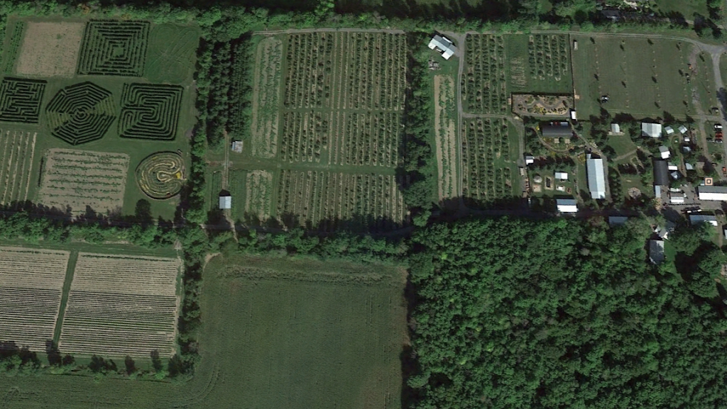 Cannamore Orchard | 1480 County Rd 32, Crysler, ON K0A 1R0, Canada | Phone: (613) 448-3633