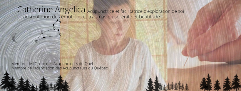 Catherine Angelica, Ac. - Acupuncture et sérénité | 2363 Rue Bastien, Val-David, QC J0T 2N0, Canada | Phone: (581) 777-6465