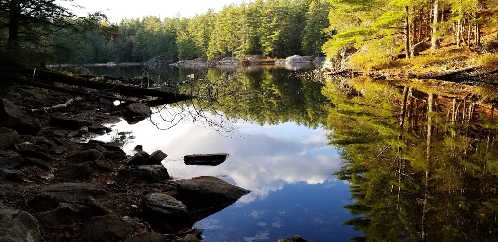 Sherborne Lake Access Point | Sherborne Rd, Algonquin Highlands, ON K0M 1J2, Canada | Phone: (705) 766-9033