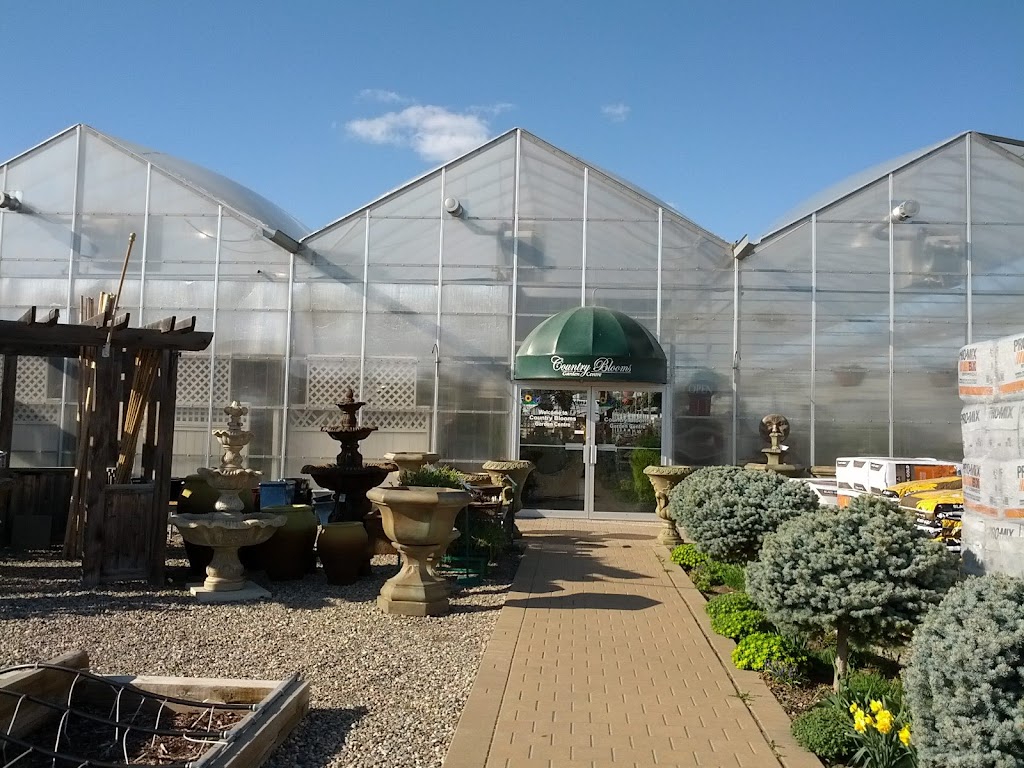 Country Blooms Garden Centre | 4 90008 RGE RD 210, Lethbridge County, AB T1J 5R9, Canada | Phone: (403) 331-5660