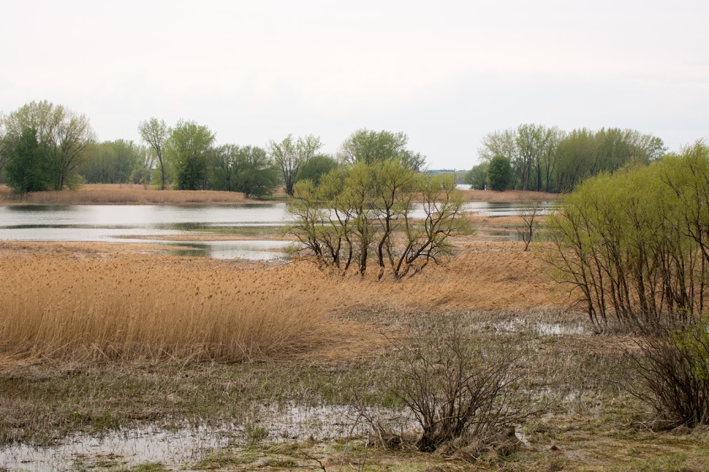 Parc national des Îles-de-Boucherville | 55 Île Sainte Marguerite, Boucherville, QC J4B 5J6, Canada | Phone: (450) 928-5088