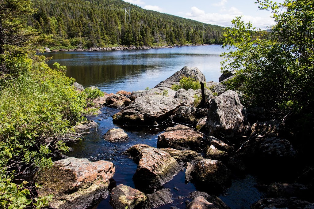 Mizzen Pond Trail | Hearts Content, NL A0B 3M0, Canada