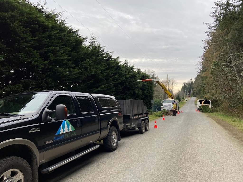 Summit Tree Care | 3646 Reynolds Rd, Nanaimo, BC V9T 2P4, Canada | Phone: (250) 268-8883