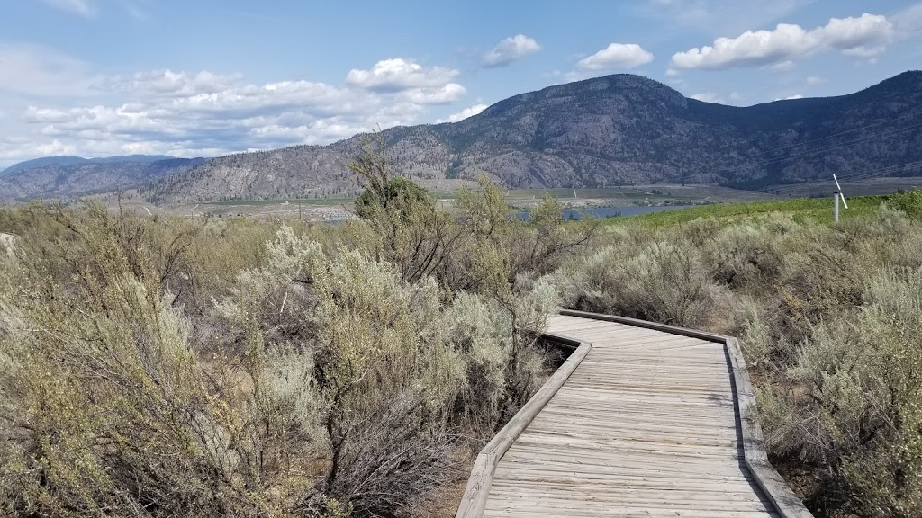 South Okanagan Grasslands Protected Area | Cawston, BC V0X 1C0, Canada | Phone: (800) 689-9025