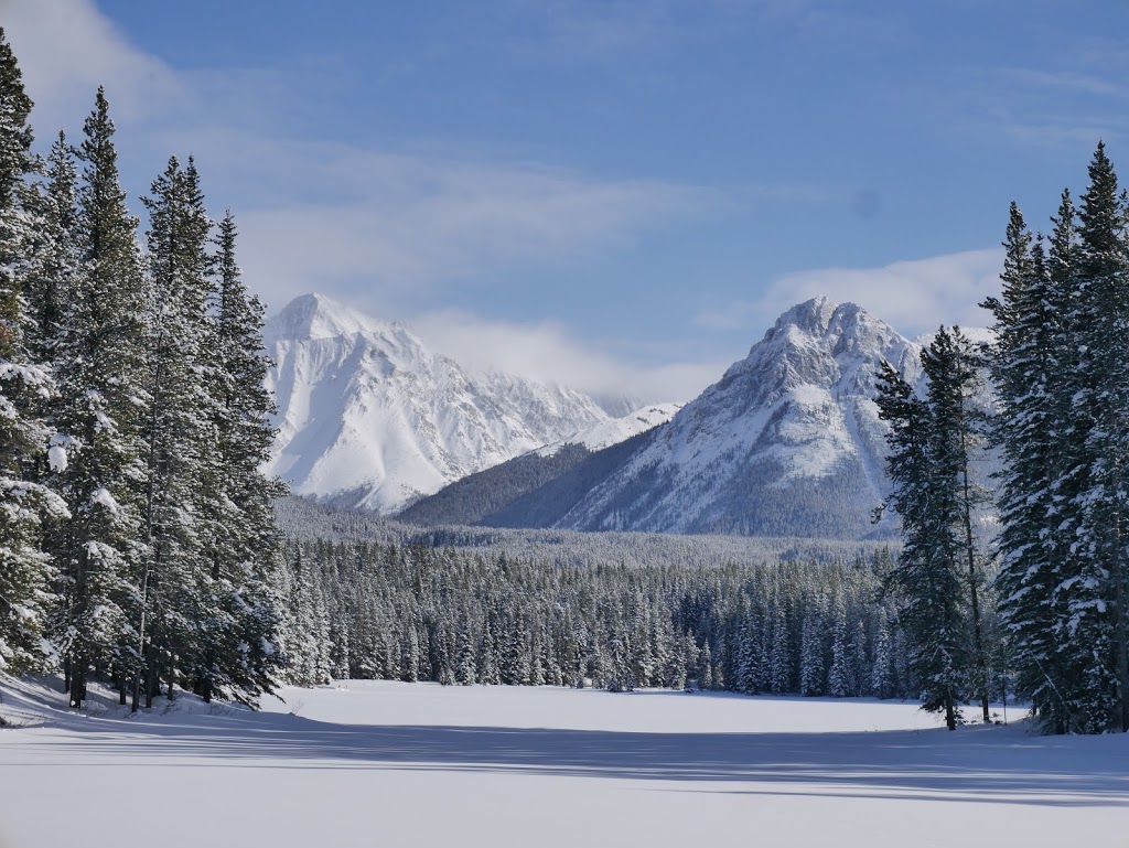 Elkwood Campground | Kananaskis, AB T0L, Canada | Phone: (403) 678-0760