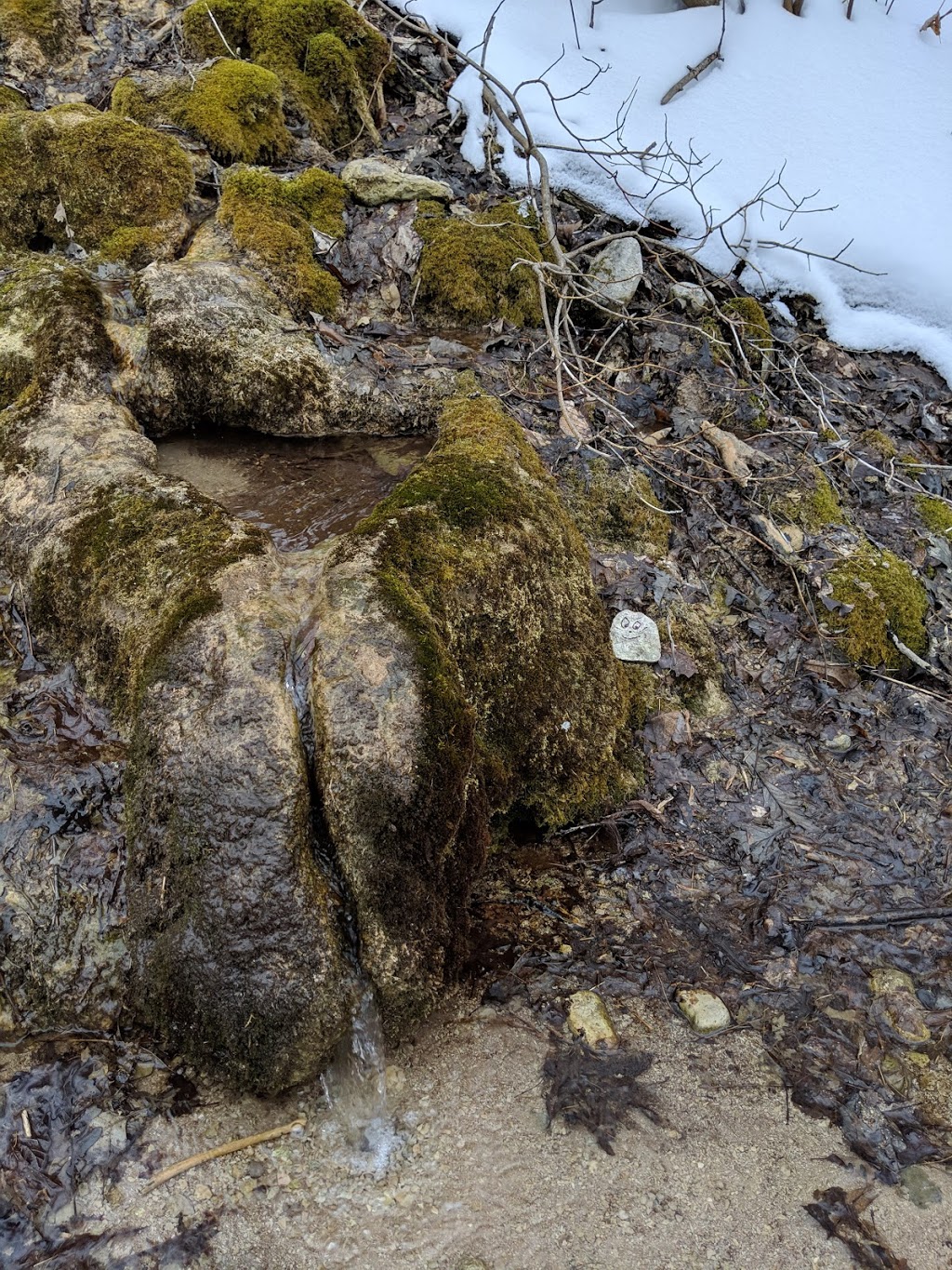 Worlds Smallest Waterfall | 91 E River Rd, Paris, ON N3L 3E1, Canada