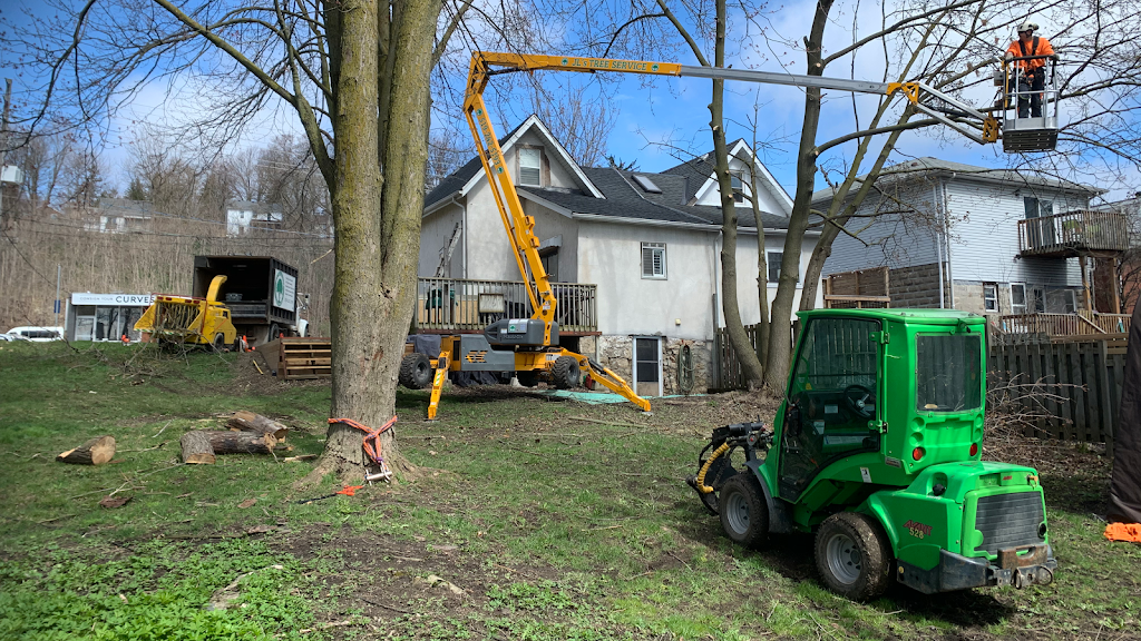 JLs Tree Service | 6149 Guelph St, Fergus, ON N1M 3E3, Canada | Phone: (519) 242-5193