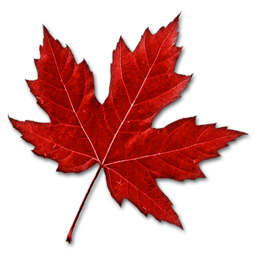 Maple Leaf Canadian Immigration and Business Consultants Inc. | 2927 Lake Shore Blvd W #200, Etobicoke, ON M8V 1J3, Canada | Phone: (905) 901-2379