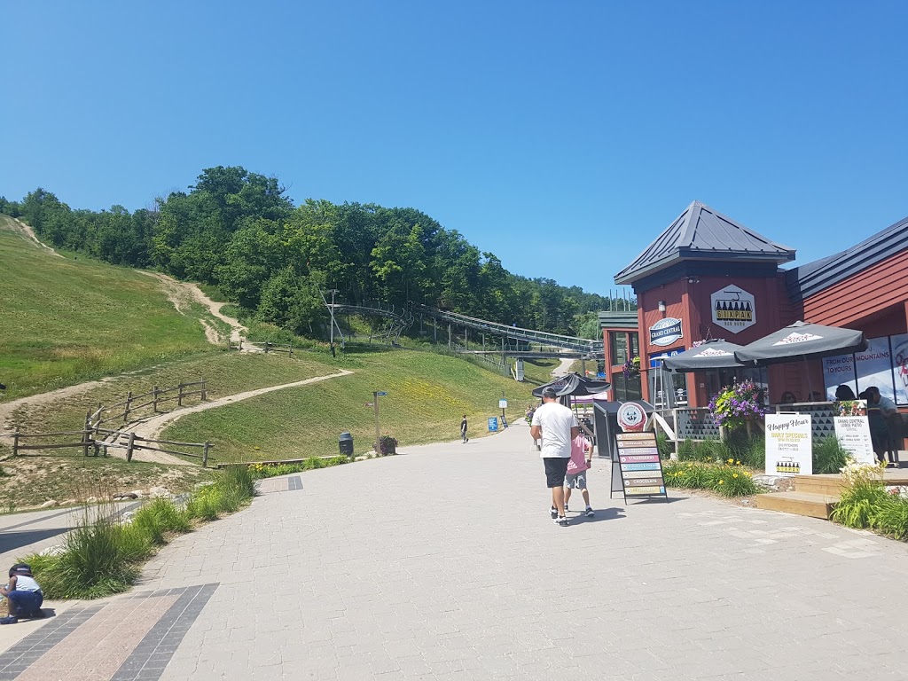 Ridge Runner Mountain Coaster | 150 Jozo Weider Blvd Unit AY2, The Blue Mountains, ON L9Y 0P7, Canada | Phone: (833) 583-2583