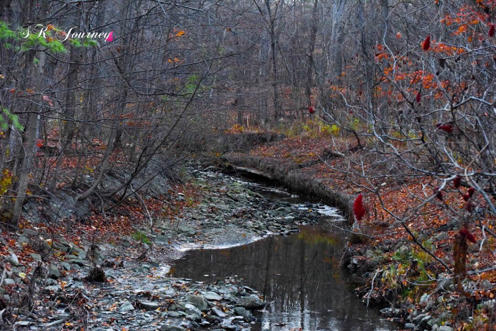 Sawmill Valley Trail Park | 1955 Burnhamthorpe Rd W, Mississauga, ON L5L 3A5, Canada