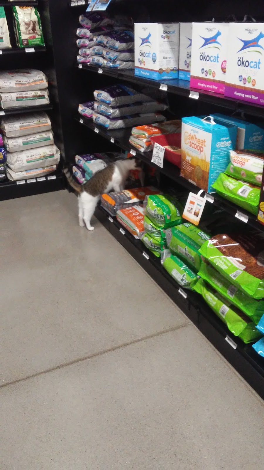 Global Pet Foods | 940 Jamieson Pkwy #8, Cambridge, ON N3C 4N6, Canada | Phone: (519) 651-1056