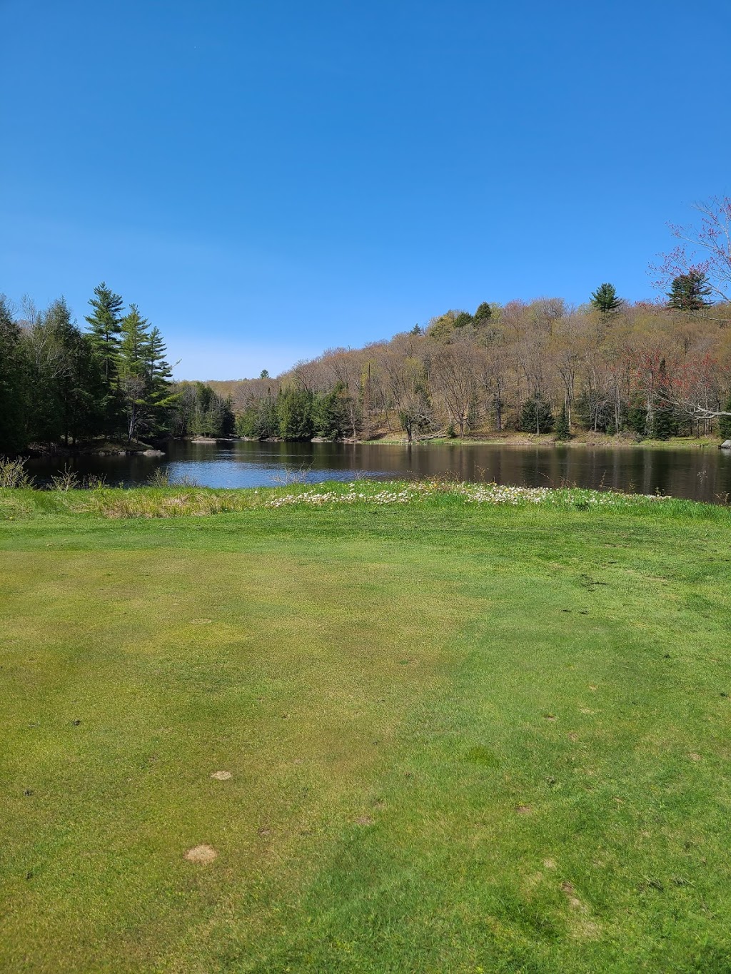 Deer Run Golf Course | 290 McDougall Rd, McDougall, ON P2A 0B3, Canada | Phone: (705) 746-4653