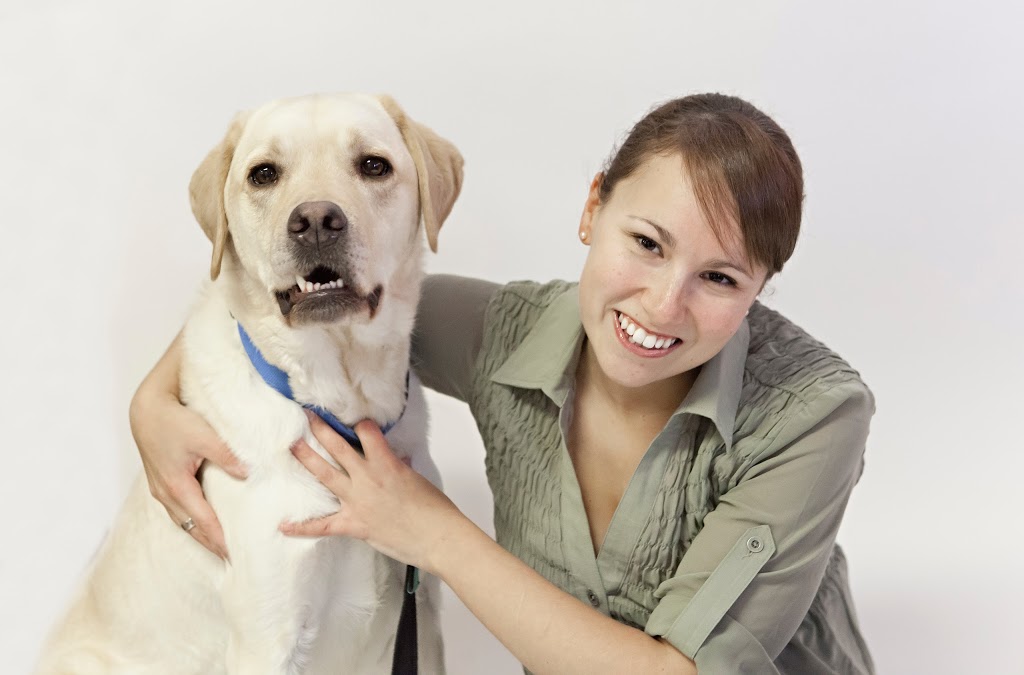 Aldergrove Animal Clinic | 495 Yonge St, Barrie, ON L4N 4E1, Canada | Phone: (705) 726-5031