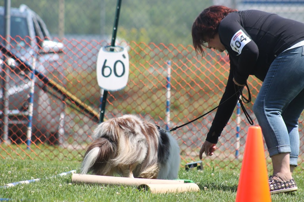 Wyndenfog Kennels | 7149 NS-207, Head of Chezzetcook, NS B0J 1N0, Canada | Phone: (902) 222-5134