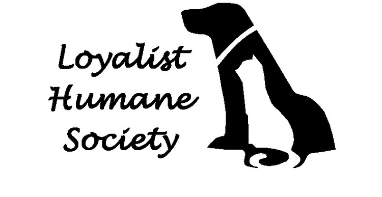 Loyalist Humane Society | 1297 County Rd 4, Prince Edward, ON K0K 2T0, Canada | Phone: (613) 476-4951