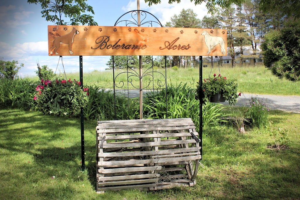 Bolerame Acres Homestay | 1054 Osborne Rd, New Germany, NS B0R 1E0, Canada | Phone: (902) 298-7773