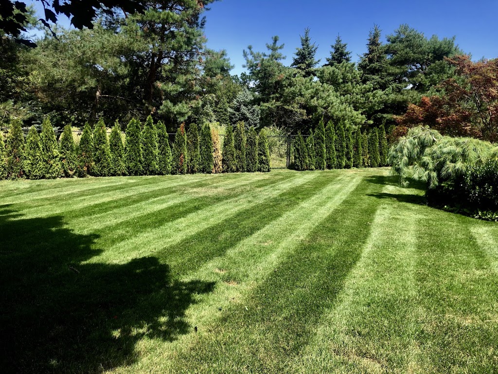 Greenview Landscape Inc. | 146 Hunter Rd, Niagara-on-the-Lake, ON L0S 1J0, Canada | Phone: (289) 407-6635