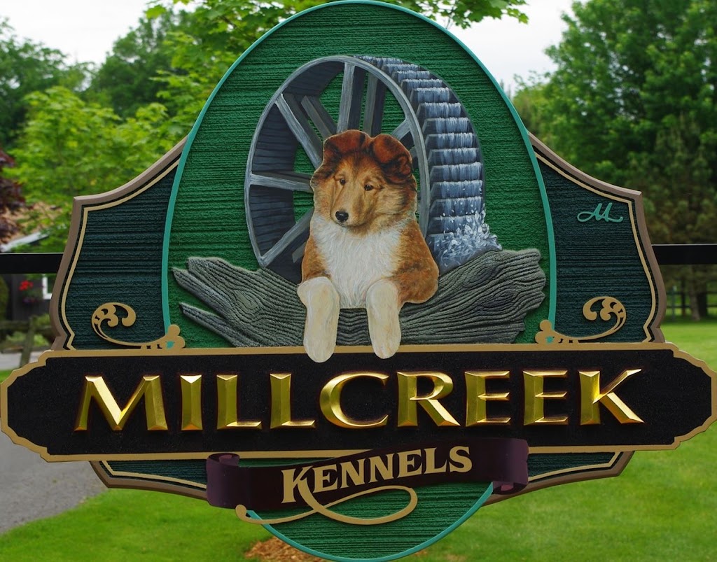 Millcreek Kennels | 4800 2, Kingston, ON K7L 4V2, Canada | Phone: (613) 484-4191