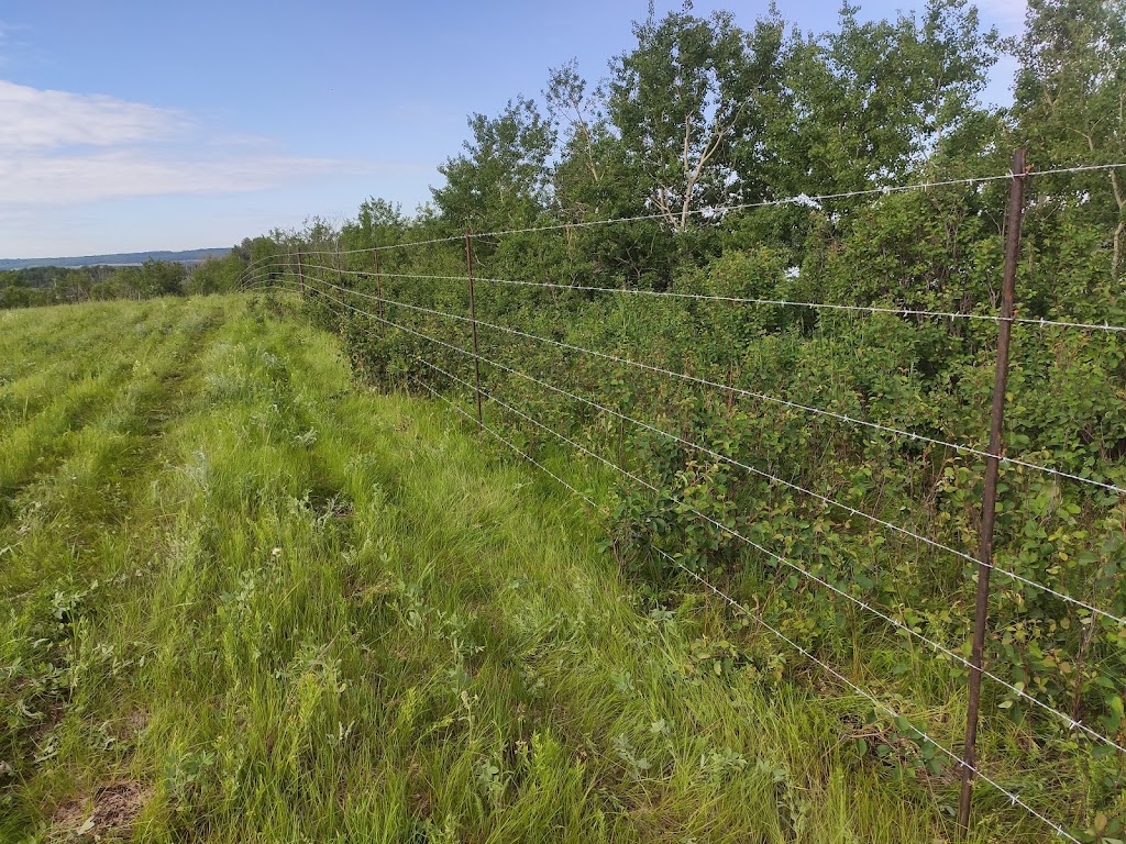 InTime Fencing | 16 Earl Close, Red Deer, AB T4P 3G6, Canada | Phone: (306) 307-0277