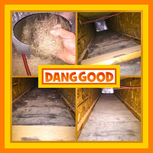 Dang Good Carpet and Furnace Cleaning | 1935 30 Ave NE Unit 2, Calgary, AB T2E 6Z5, Canada | Phone: (403) 984-3680