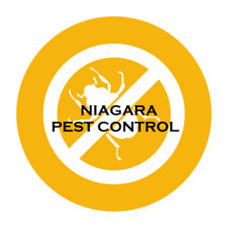 Niagara Pest | 409 Vine St #15, St. Catharines, ON L2M 3S6, Canada | Phone: (289) 273-2288