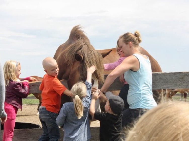 Serenity Equestrian | 92035 hwy 25, Lethbridge, AB T1J 4Y2, Canada | Phone: (403) 393-3490