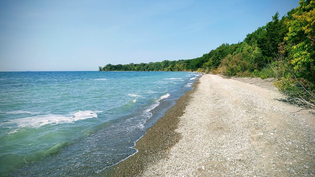 Fish Point Provincial Nature Reserve | McCormick Rd, Pelee Island, ON N0R 1M0, Canada | Phone: (519) 825-4659