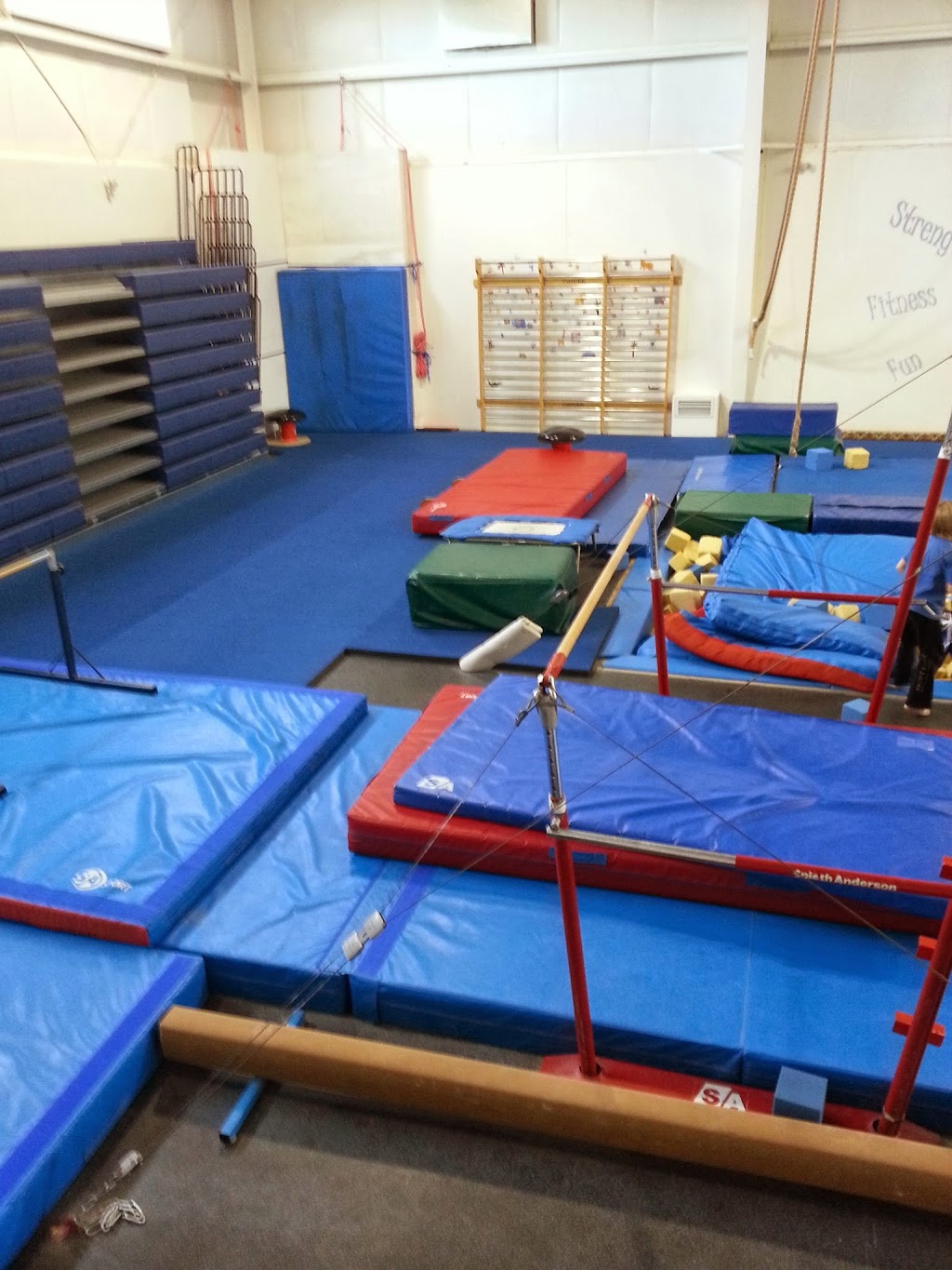 Port Alberni Gymnastics Academy | 3450 Argyle St, Port Alberni, BC V9Y 7R5, Canada | Phone: (250) 724-1011