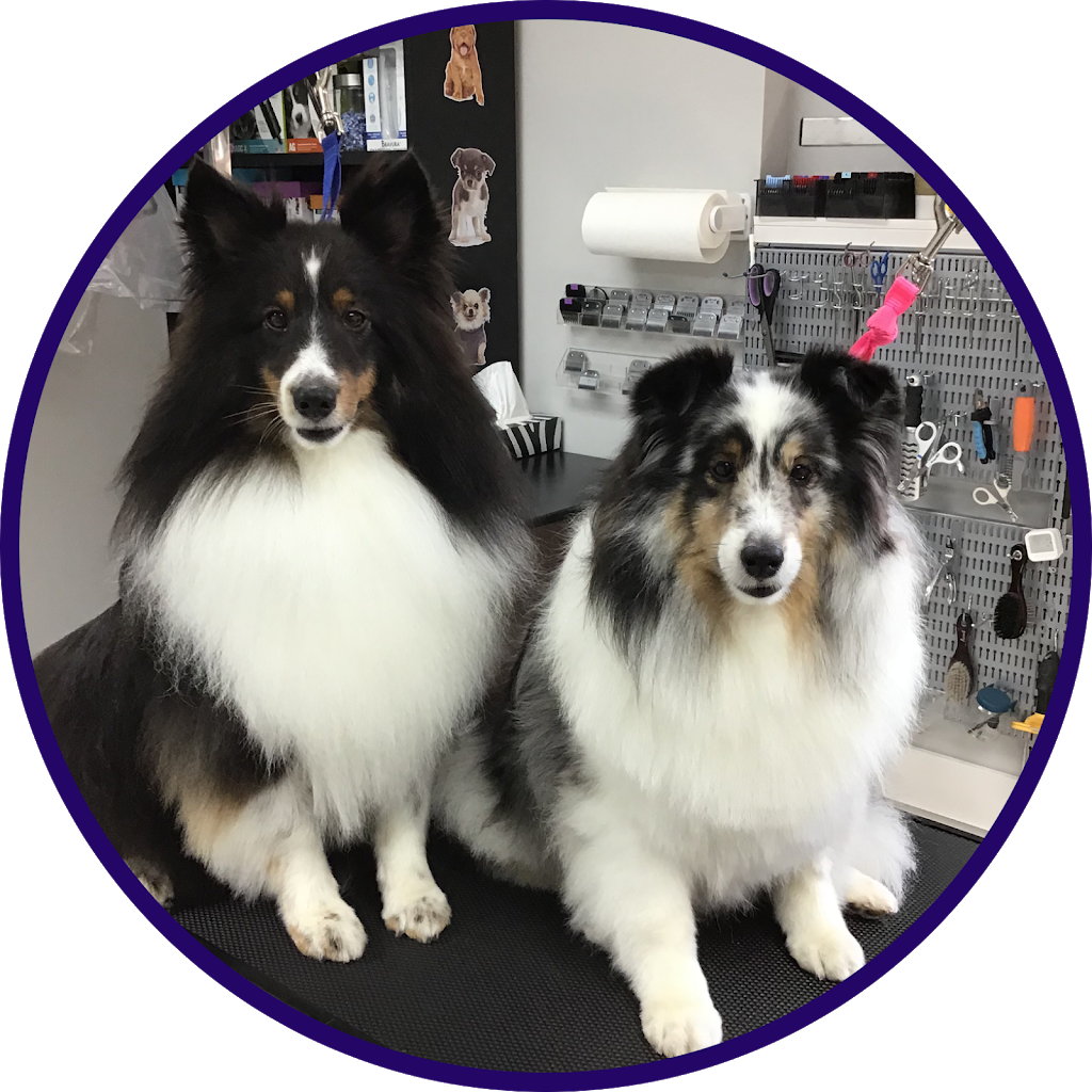 Bark N Beauties Dog Grooming Salon | 35661 Maguire Rd, Ailsa Craig, ON N0M 1A0, Canada | Phone: (519) 228-6861