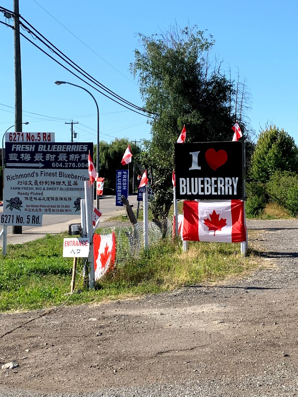 Nijjer Berry Farms | 6271 No 5 Rd, Richmond, BC V6Y 2V1, Canada | Phone: (604) 276-0044