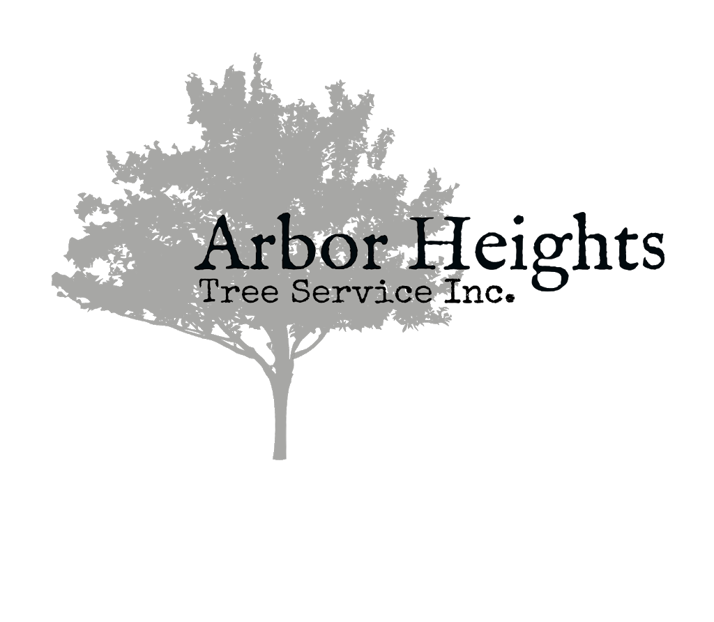 Arbor Heights Tree Services Ltd | Box 651, 6209 Skyway Rd, Smithville, ON L0R 2A0, Canada | Phone: (905) 512-9154