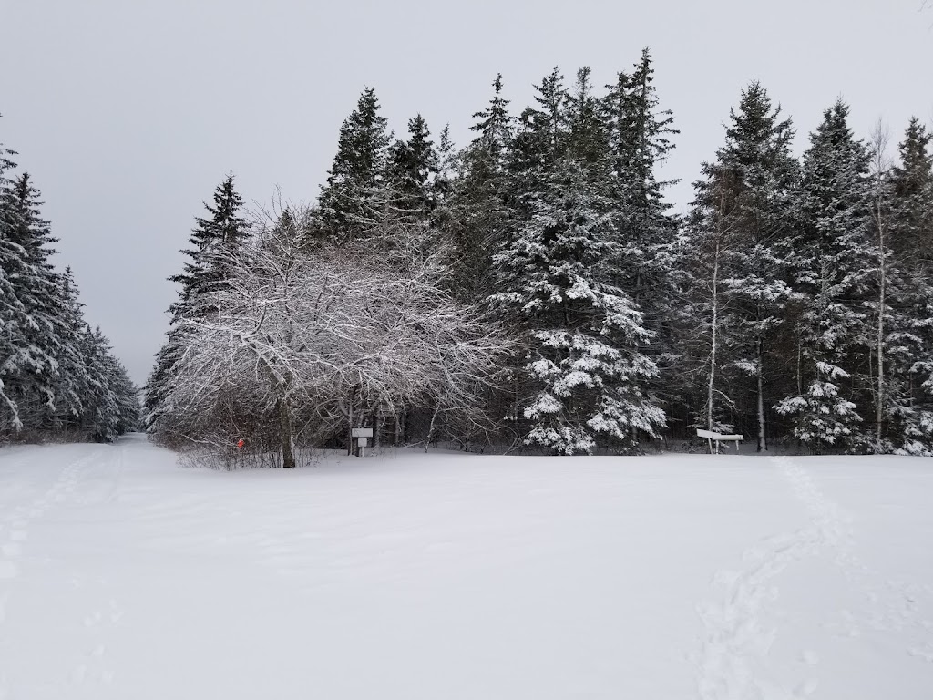 Auburn Demo Woodlot | Byis Ln, Prince Edward Island C0A 1T0, Canada | Phone: (902) 368-4700