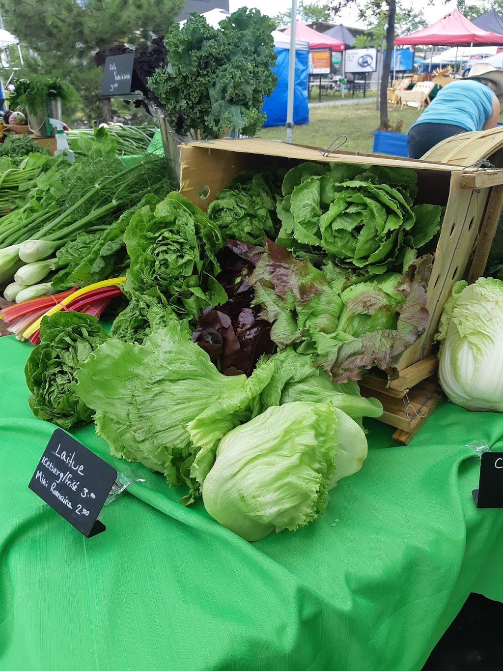 Ferme au septième sol | 1440 Chem. de la Côte Georges, Mascouche, QC J7K 3C2, Canada | Phone: (514) 922-9868