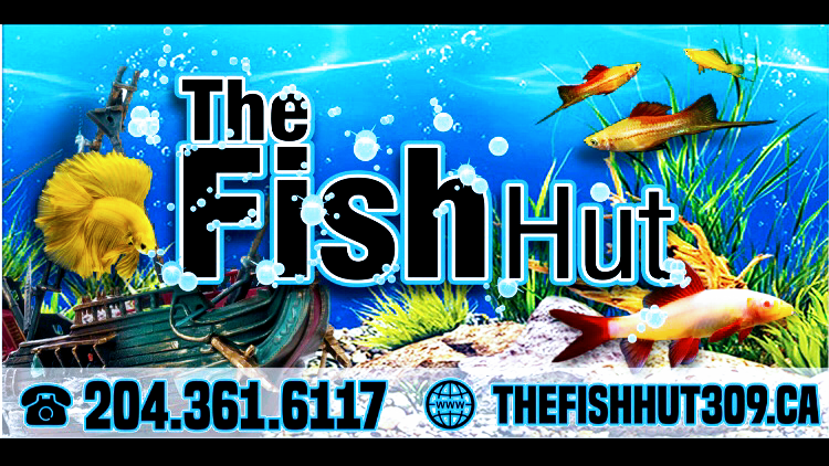 The Fish Hut | 309 11 St, Morden, MB R6M 1L9, Canada | Phone: (204) 361-6117