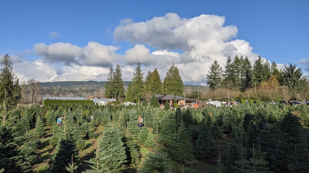 Dogwood Christmas Tree Farm | 8589 252 St, Langley City, BC V1M 3P1, Canada | Phone: (604) 888-9161