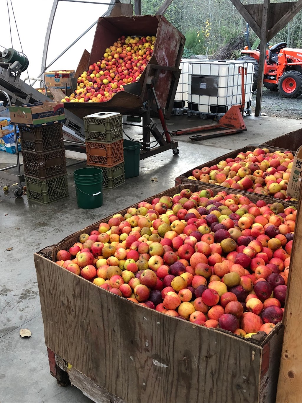 Coombs Country Cider | 1195 McLean Rd, Qualicum Beach, BC V9K 1W5, Canada | Phone: (250) 937-9644