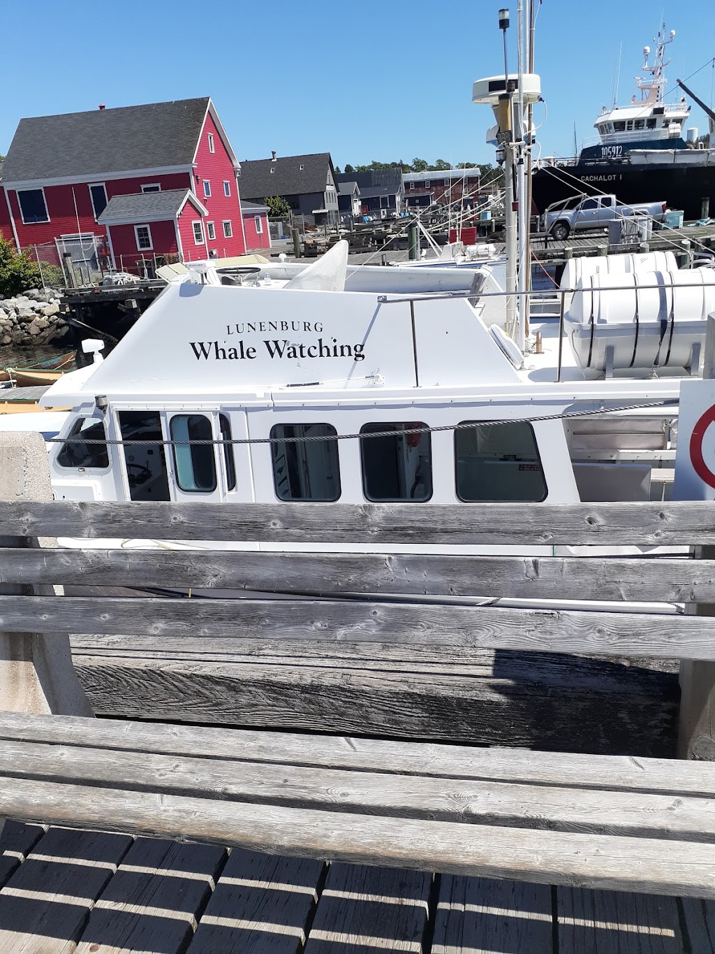 Lunenburg Whale Watching Tours | 62 Bluenose Dr, Lunenburg, NS B0J 2C0, Canada | Phone: (902) 527-7175