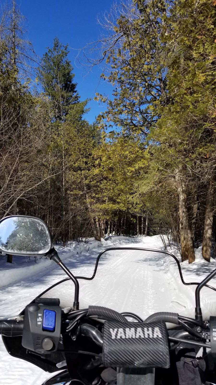 Marlborough Forest | Munster Hamlet - Richmond, Ottawa, ON K0A 2Z0, Canada