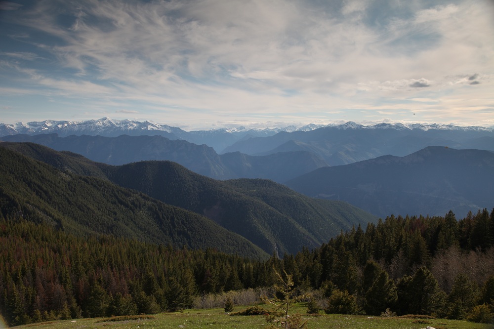 Xaxlip Community Forest | 1433 Fountain Vly Rd, Lillooet, BC V0K 1V0, Canada | Phone: (250) 256-4228