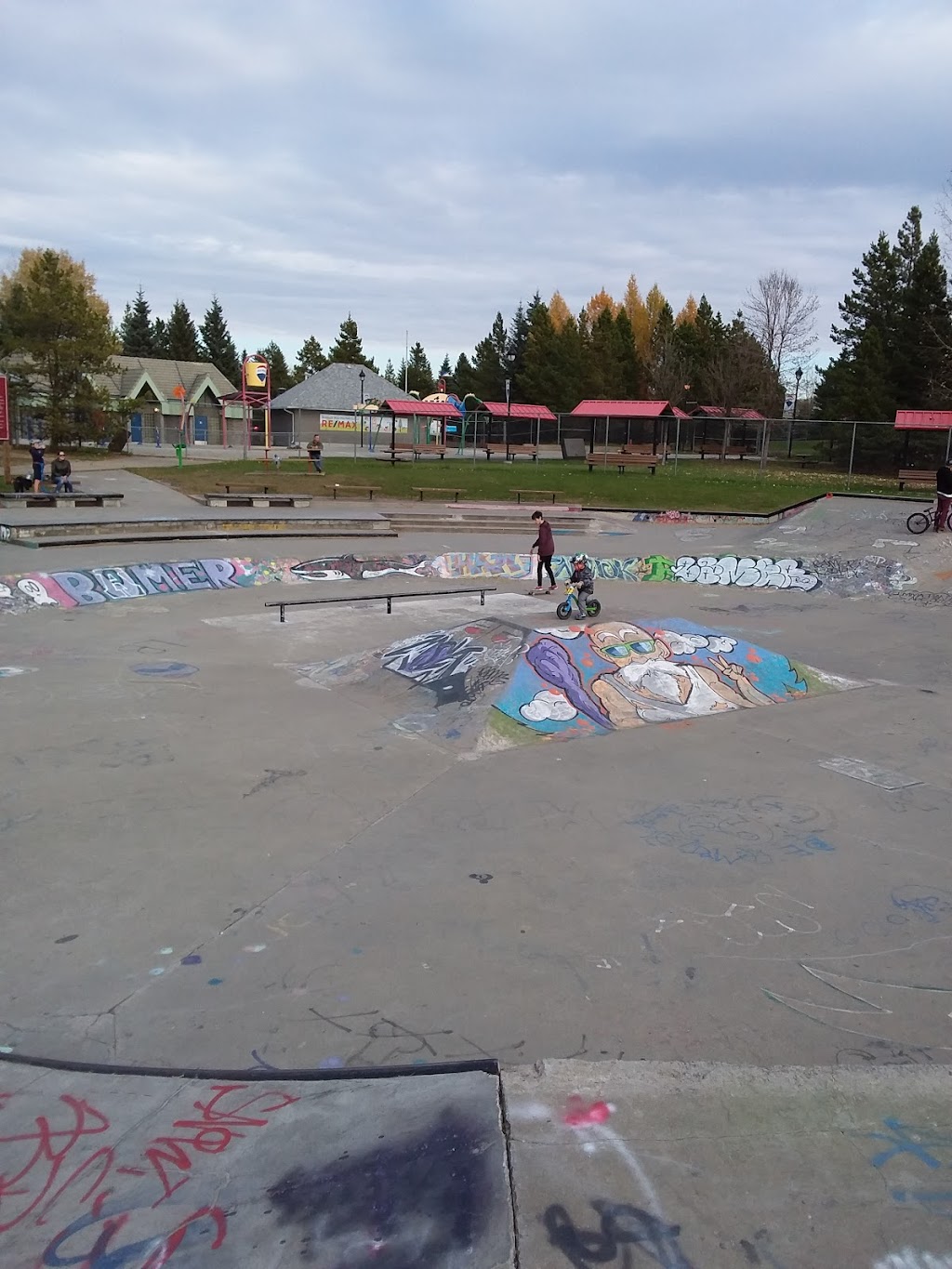 Woodlands Skatepark | 165 Sturgeon Rd, St. Albert, AB T8N 3G1, Canada | Phone: (780) 459-1557